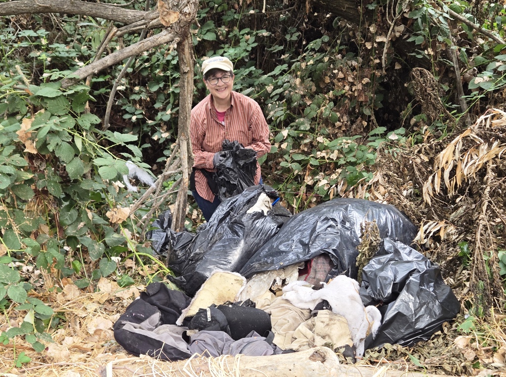 Susan cleaning out a trash pit along the creek.